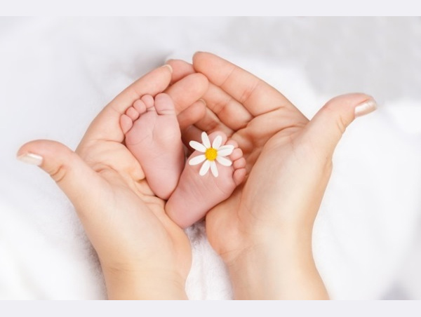 Infertility Profile