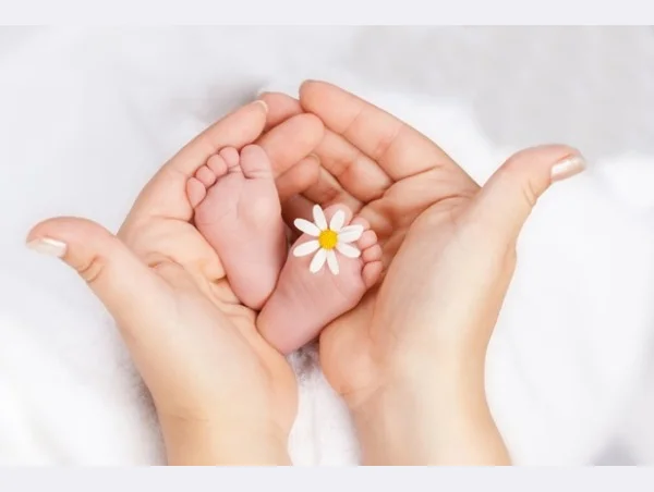 Infertility Profile