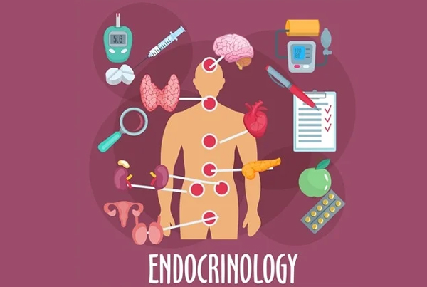 Reproductive Endocrinology