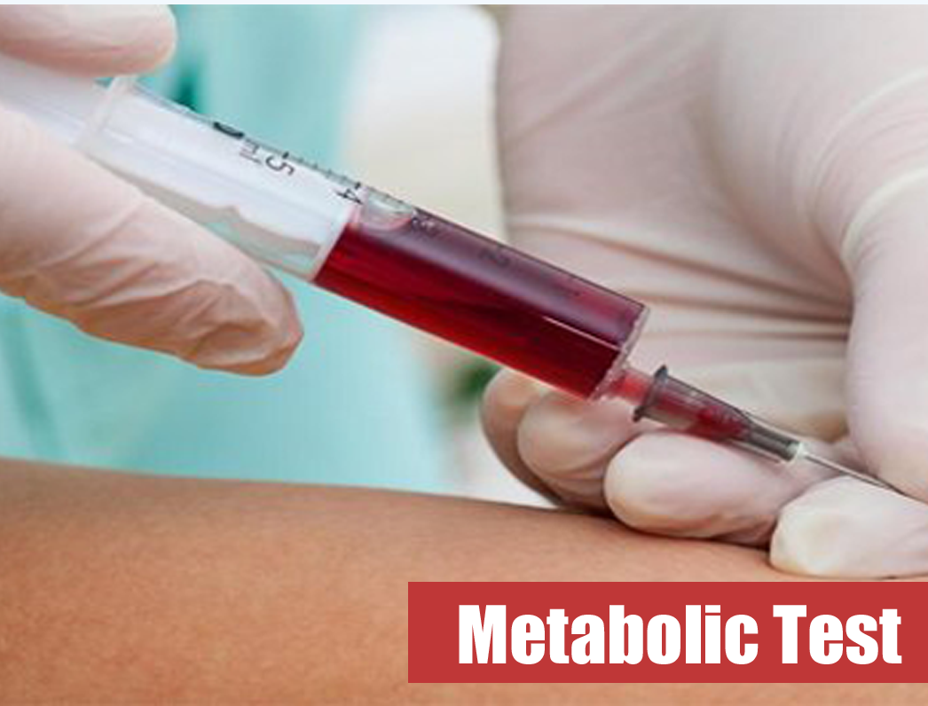 Metabolism