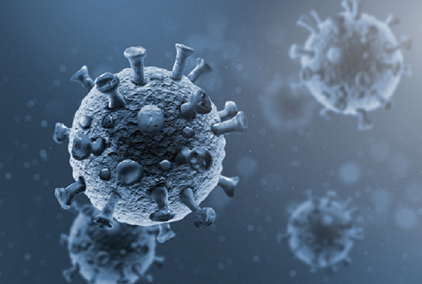 Immunology Routine