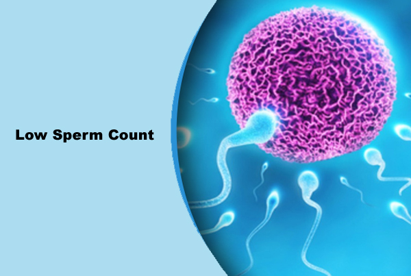 Motility of Sperm