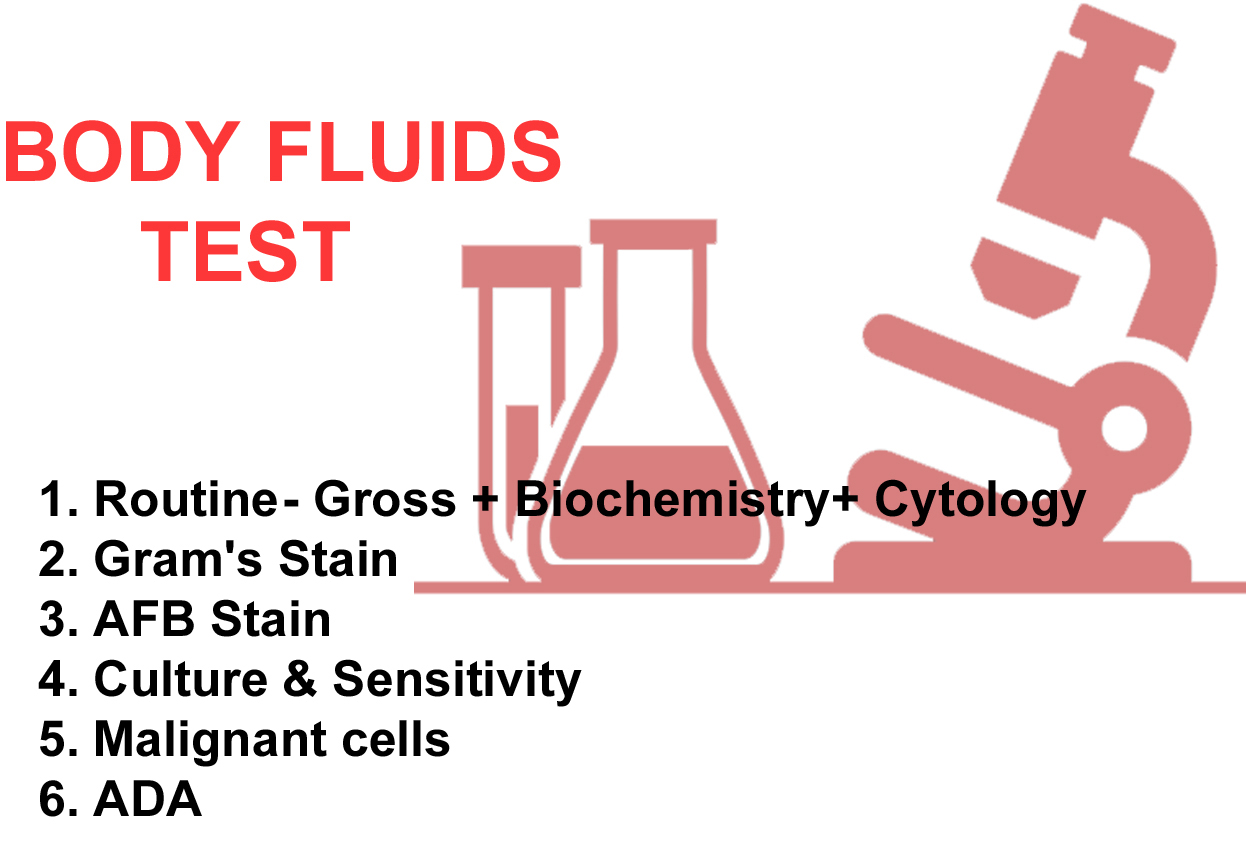 Fluid