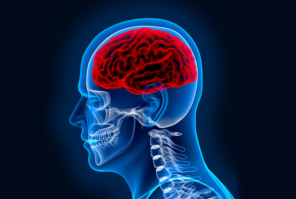 Neurology